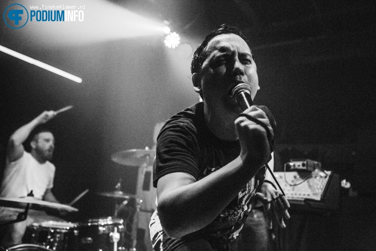 Pigs Pigs Pigs Pigs Pigs Pigs Pigs op Pigs Pigs Pigs Pigs Pigs Pigs Pigs - 02/05 - Cinetol foto