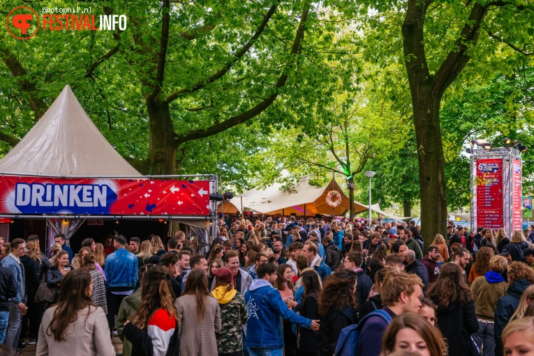 Bevrijdingsfestival Nijmegen 2019 foto