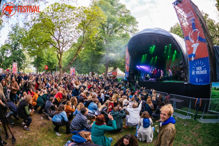 Bevrijdingsfestival Nijmegen 2019 foto