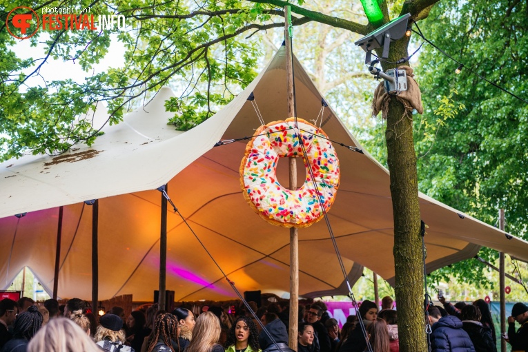 Bevrijdingsfestival Nijmegen 2019 foto