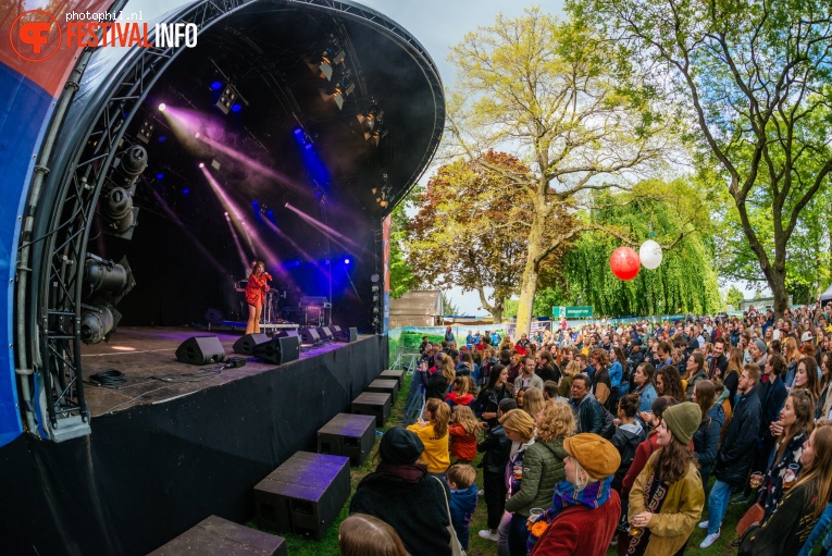 Foto Merol op Bevrijdingsfestival Nijmegen 2019