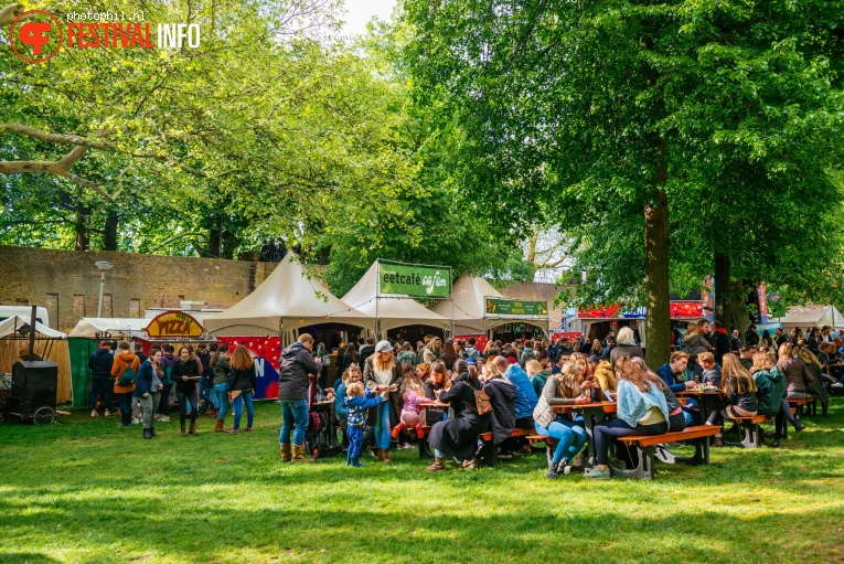 Bevrijdingsfestival Nijmegen 2019 foto