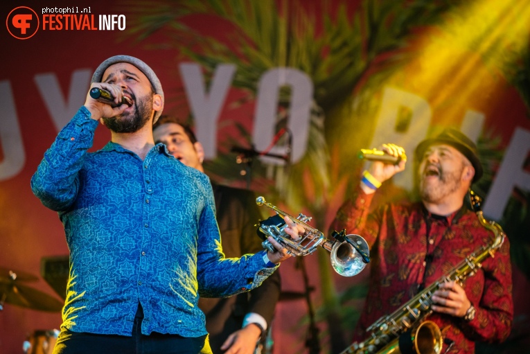 Muyayo Rif op Bevrijdingsfestival Nijmegen 2019 foto