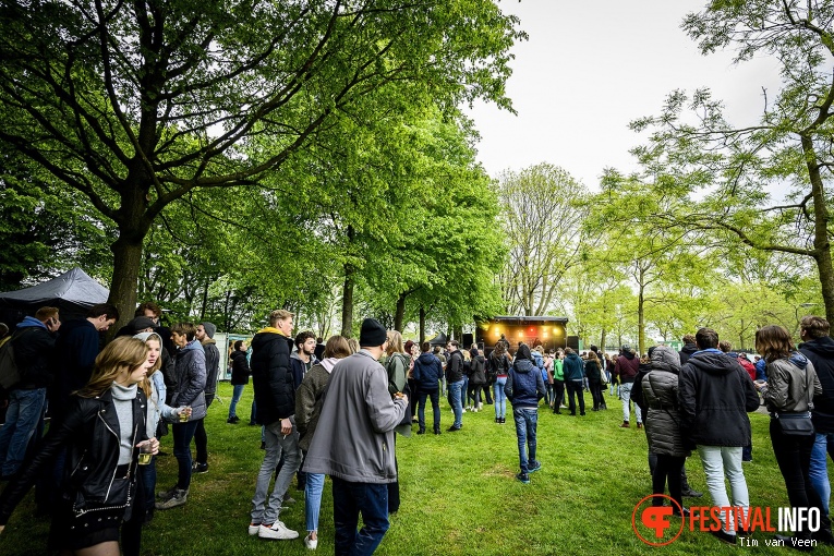 Bevrijdingsfestival Utrecht 2019 foto