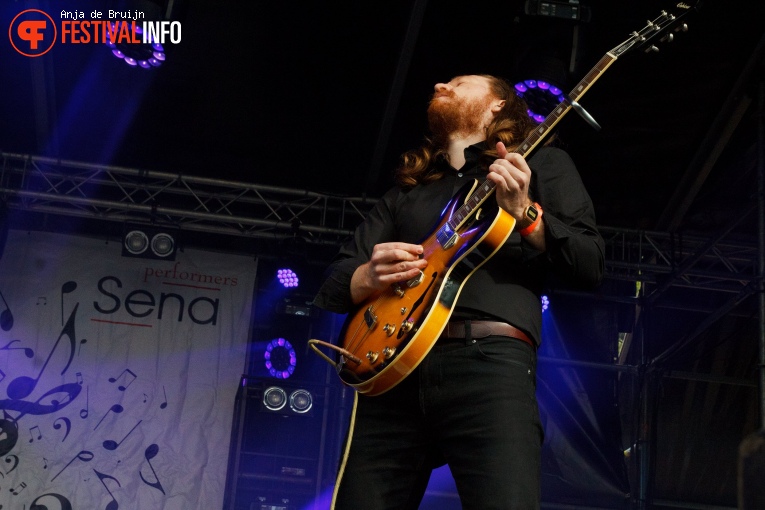 Bevrijdingsfestival Zuid-Holland 2019 foto