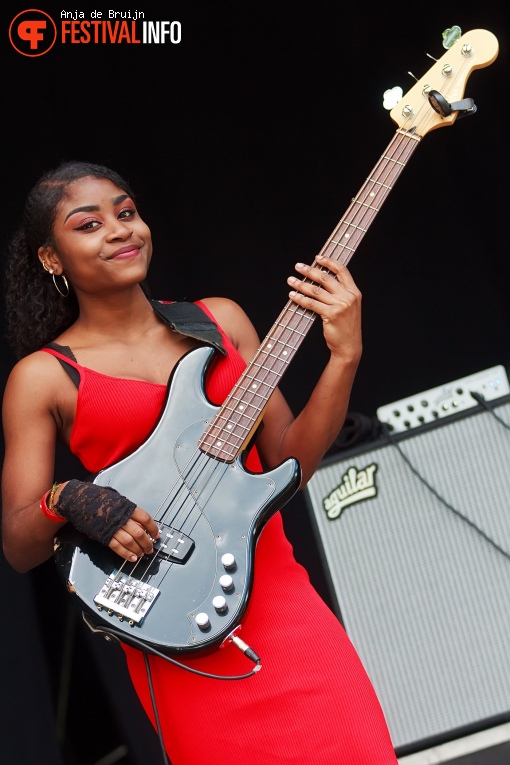 Bevrijdingsfestival Zuid-Holland 2019 foto