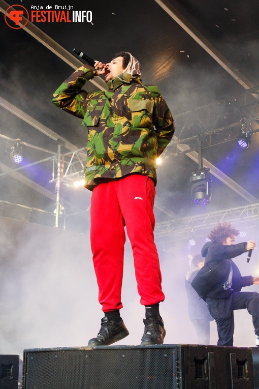 Green Cabin op Bevrijdingsfestival Zuid-Holland 2019 foto