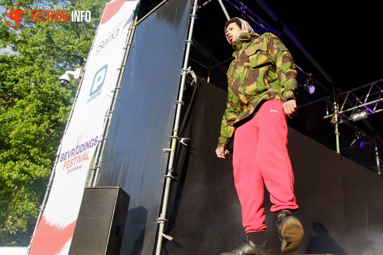 Green Cabin op Bevrijdingsfestival Zuid-Holland 2019 foto