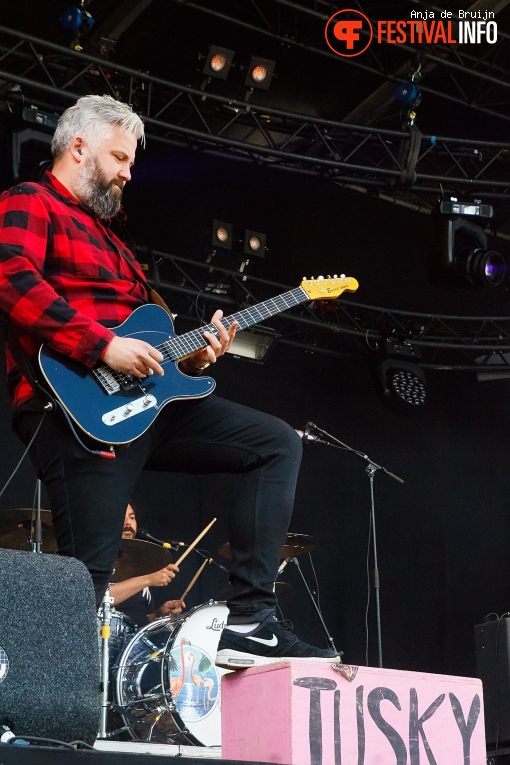 Bevrijdingsfestival Zuid-Holland 2019 foto