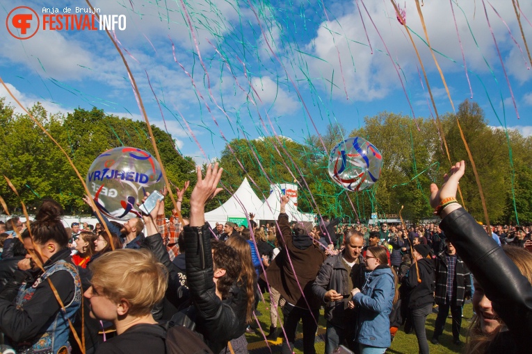 Bevrijdingsfestival Zuid-Holland 2019 foto