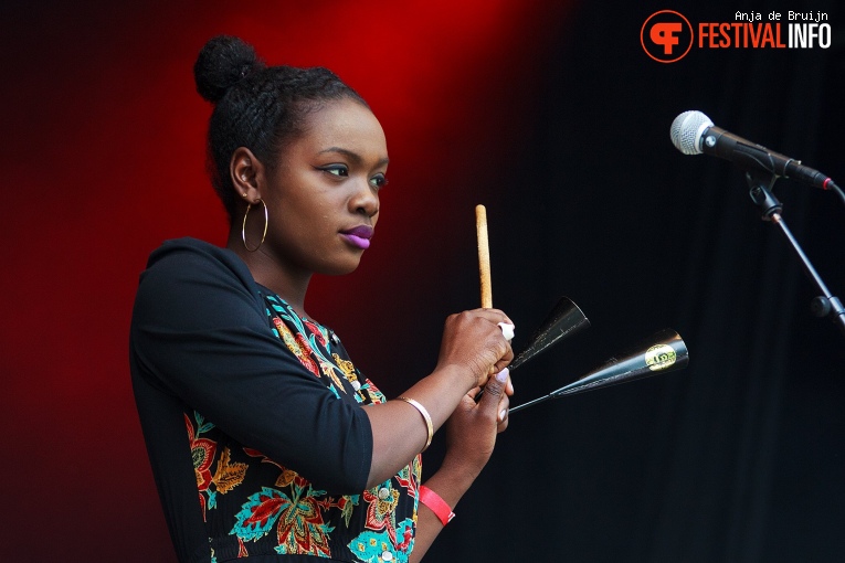 Bevrijdingsfestival Zuid-Holland 2019 foto