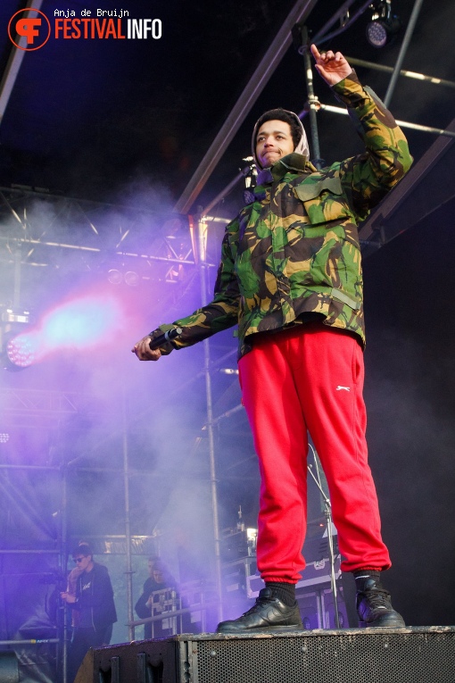 Green Cabin op Bevrijdingsfestival Zuid-Holland 2019 foto