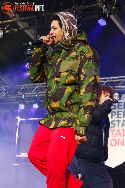 Green Cabin op Bevrijdingsfestival Zuid-Holland 2019 foto