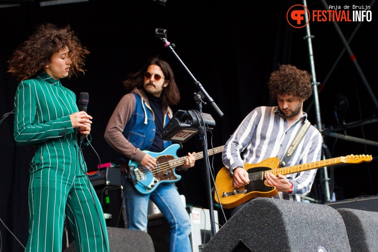 EUT op Bevrijdingsfestival Zuid-Holland 2019 foto