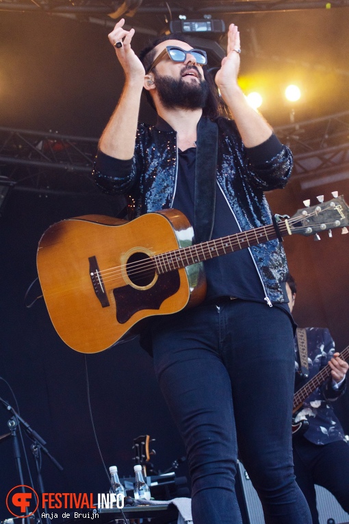 Blaudzun op Bevrijdingsfestival Zuid-Holland 2019 foto