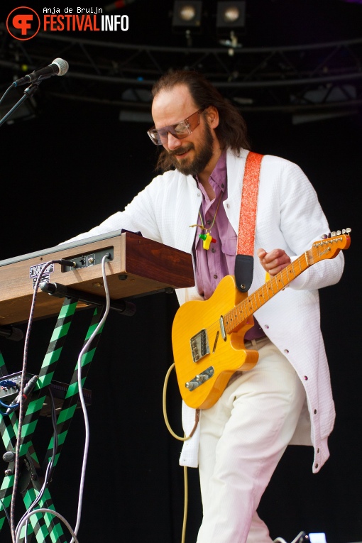 Bevrijdingsfestival Zuid-Holland 2019 foto