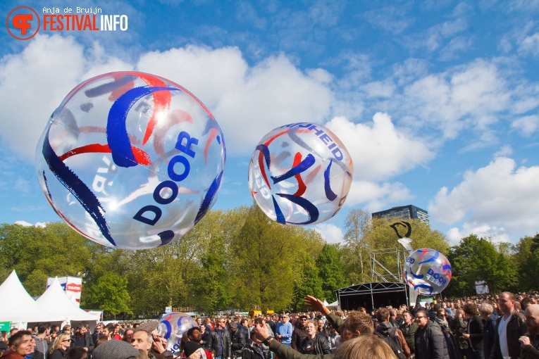 Bevrijdingsfestival Zuid-Holland 2019 foto