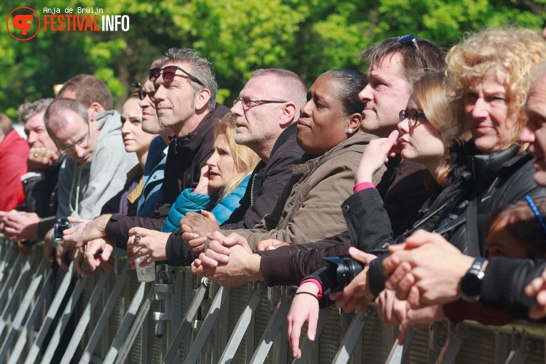 Bevrijdingsfestival Zuid-Holland 2019 foto