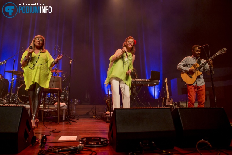 Sergio Mendes op Sergio Mendes - 08/05 - TivoliVredenburg foto
