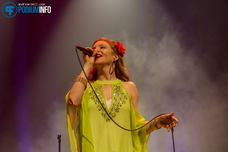 Sergio Mendes op Sergio Mendes - 08/05 - TivoliVredenburg foto