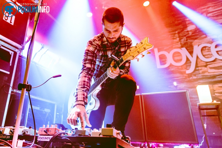 Boyce Avenue op Boyce Avenue - 10/05 - Melkweg foto