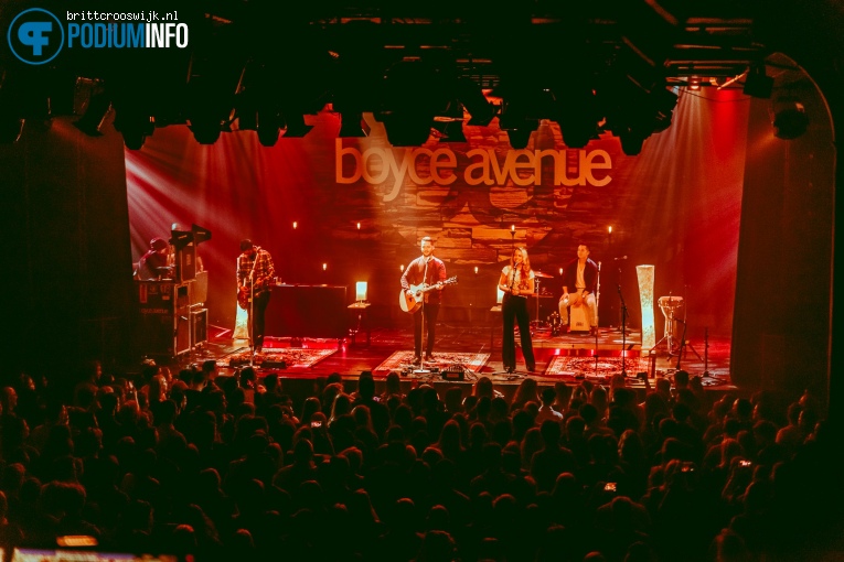 Boyce Avenue op Boyce Avenue - 10/05 - Melkweg foto