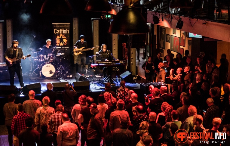 Catfish (UK) op Rhythm & Blues Night 2019 foto