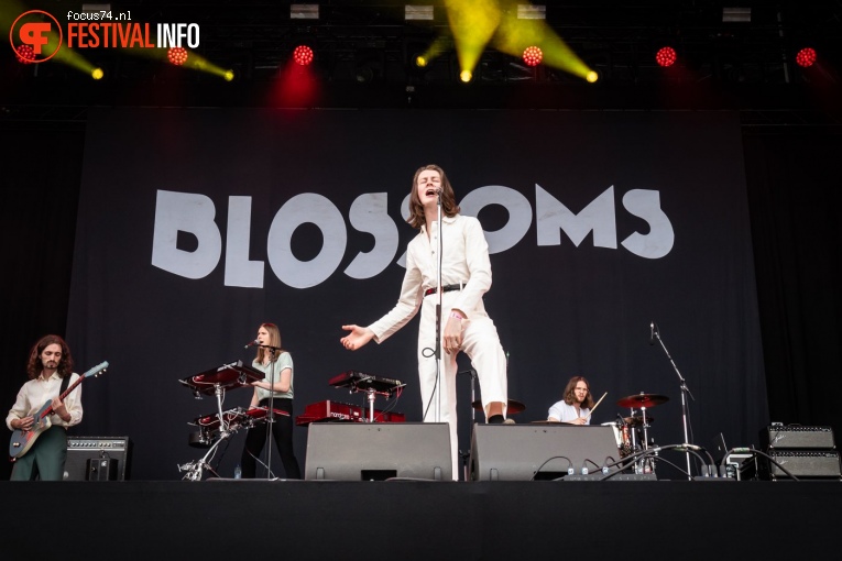Blossoms op Best Kept Secret 2019 - vrijdag 31 mei foto