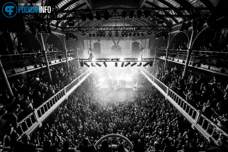 The Good, The Bad & The Queen op The Good, The Bad & The Queen - 06/06 - Paradiso foto