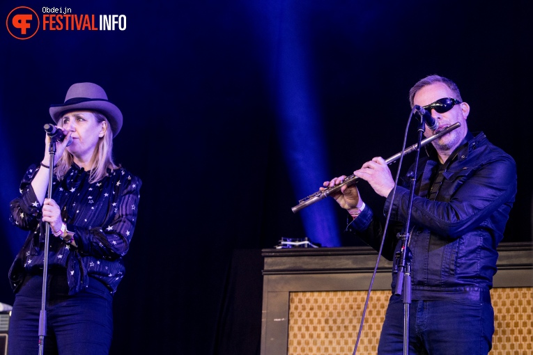 Foto The Bowie Collective op Hello Festival 2019