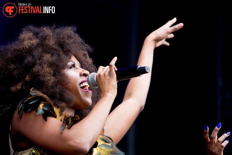 Foto Little Steven & The Disciples of Soul op Hello Festival 2019