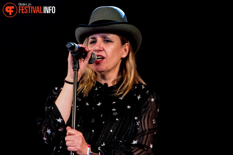 Foto The Bowie Collective op Hello Festival 2019