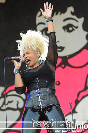 Mother's Finest op Pinkpop Classic 2008 foto