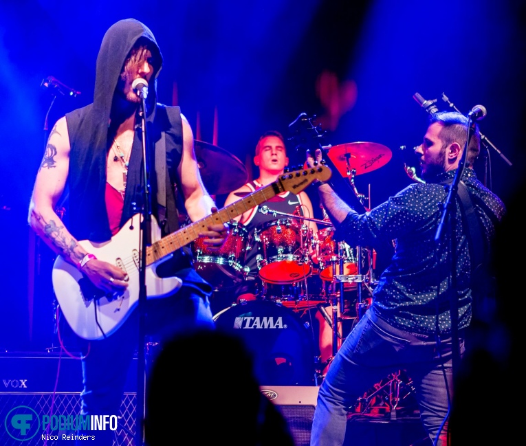 Jolly op The Flower Kings - 21/06 - Boerderij foto