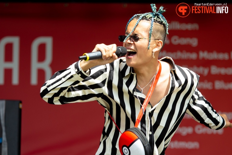54 gang op Parkpop 2019 foto