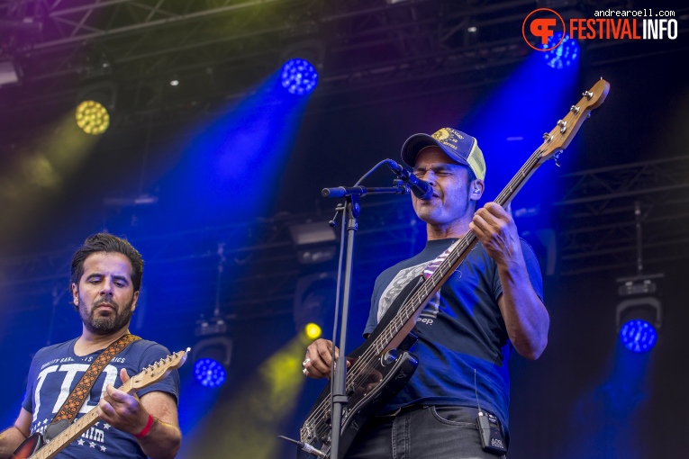 Van Dik Hout op Gelderpop 2019 foto