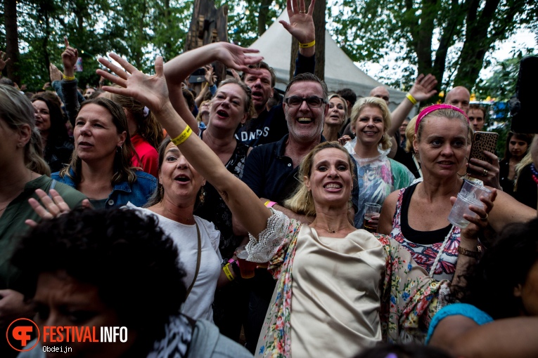 Fields of Joy Festival 2019 foto