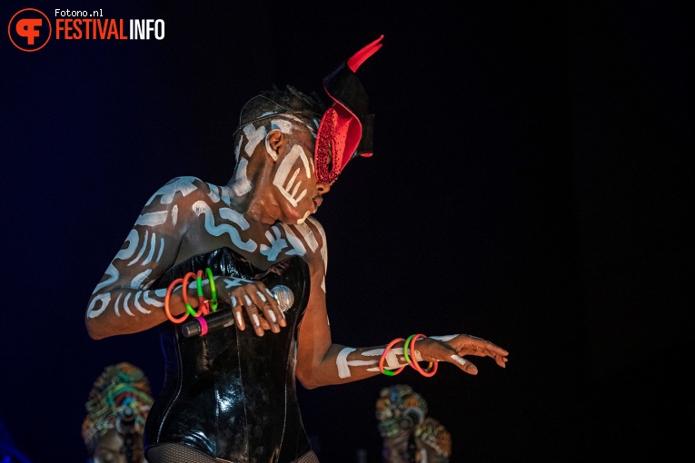 Grace Jones op Down the Rabbit Hole 2019 - vrijdag foto