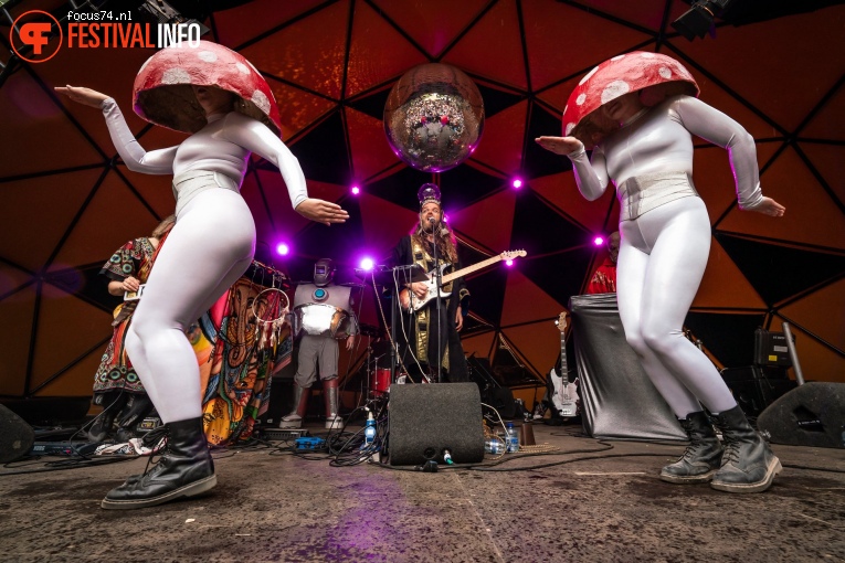 Henge op Down the Rabbit Hole 2019 - zaterdag foto