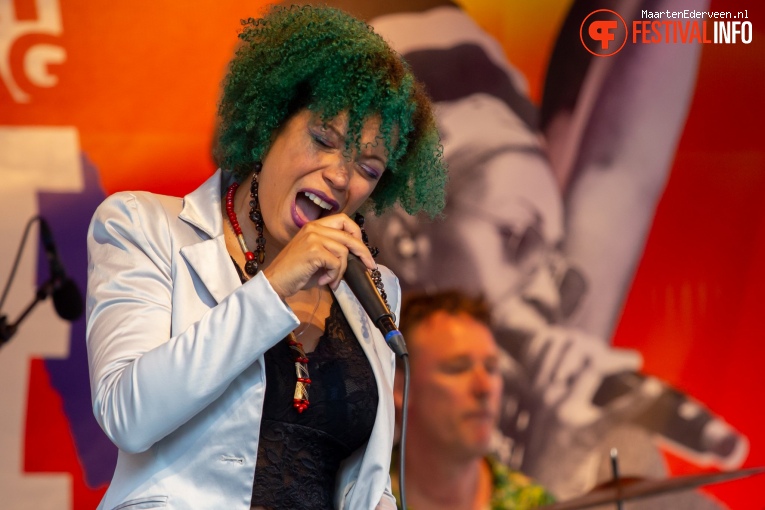 Dr. Jordan Institute op Summertime Festival 2019 foto