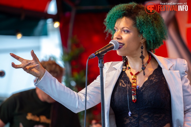 Dr. Jordan Institute op Summertime Festival 2019 foto