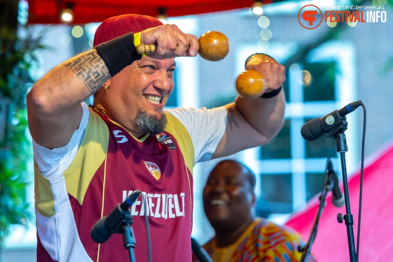 Artvark op Summertime Festival 2019 foto