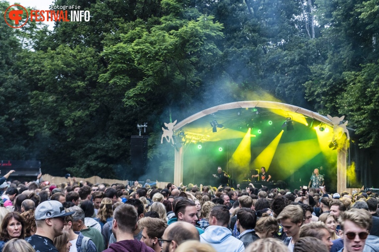 Lifecycle op Werfpop 2019 foto