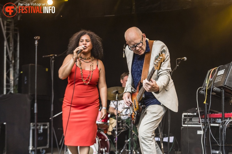 Zuco 103 op Werfpop 2019 foto