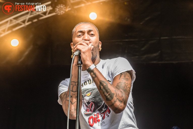 Ploegendienst op Werfpop 2019 foto