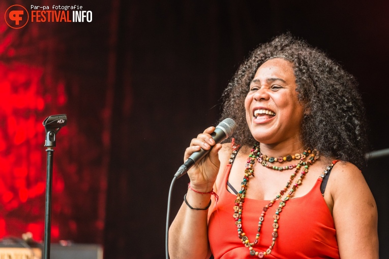 Zuco 103 op Werfpop 2019 foto