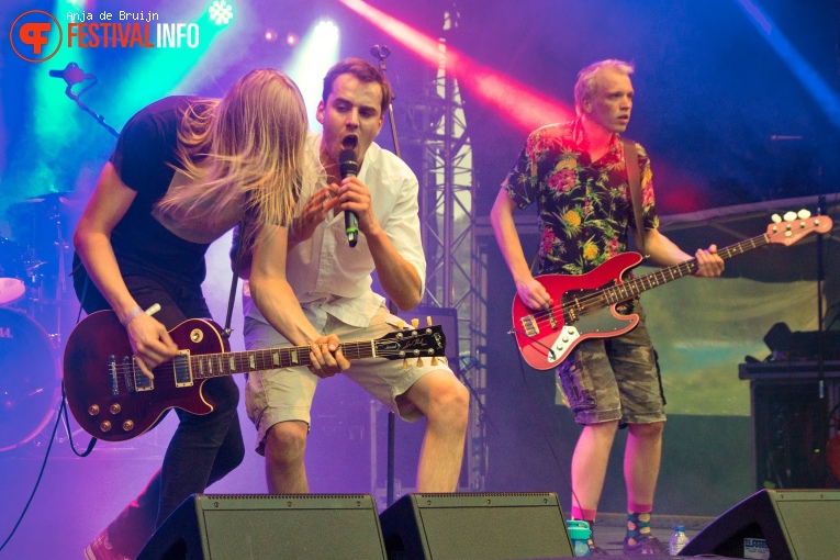 Dad's Amaryllo op Westerpop  2019 foto