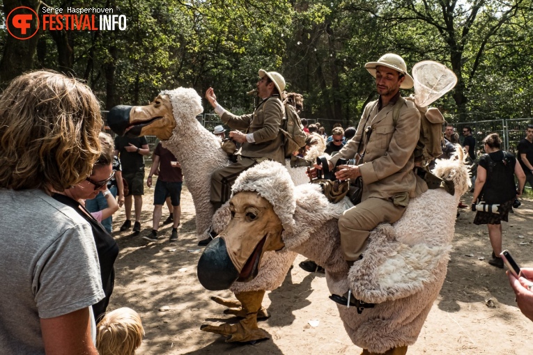 Zwarte Cross Festival 2019 - Zondag foto