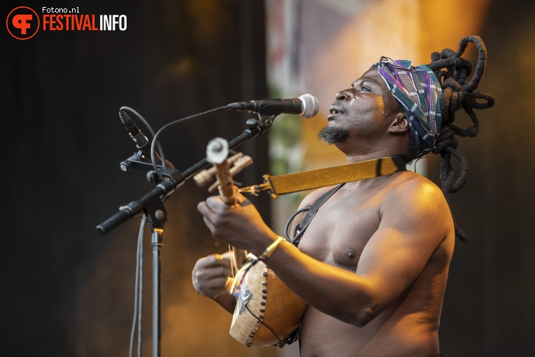 King Ayisoba op Welcome To The Village 2019 - zondag - foto