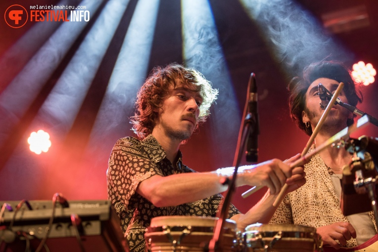 The Mauskovic Dance Band op Paléo Festival 2019 foto